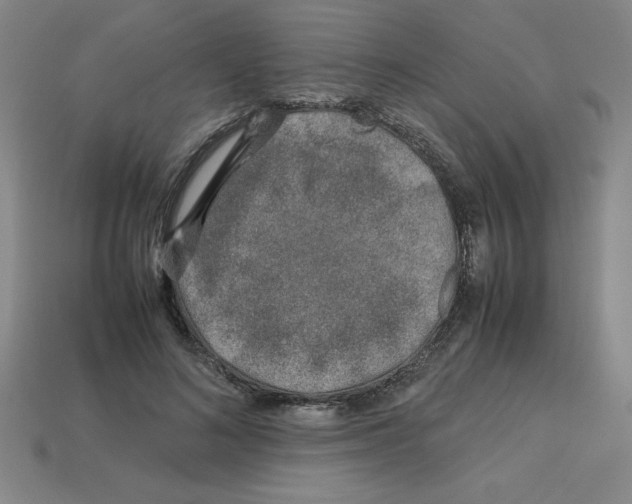 X0000112750692200910011154