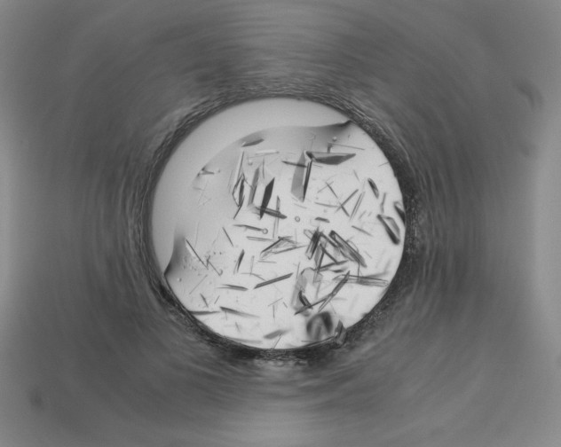 X0000112750693200910011154