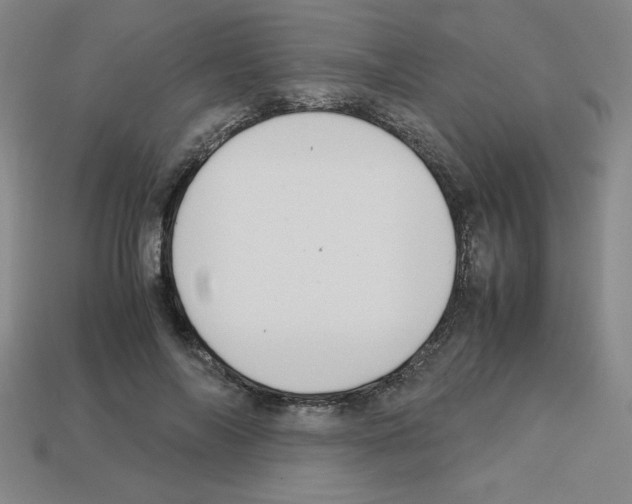 X0000112750694200910011154