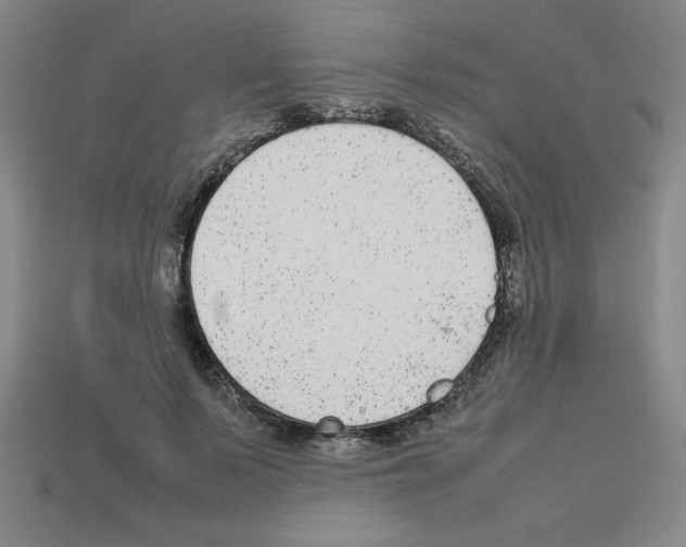 X0000112750695200910011154