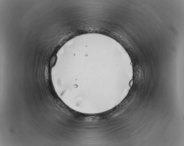 X0000112750700200910011154