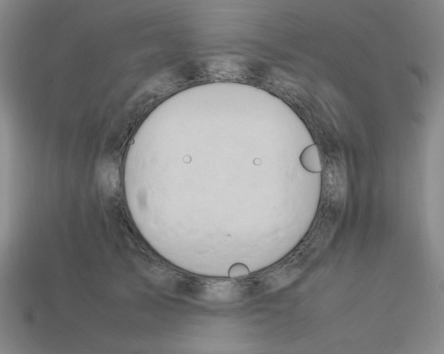 X0000112750705200910011154