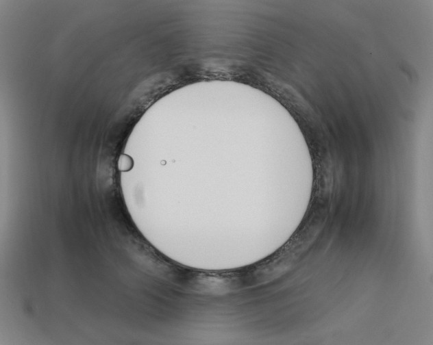 X0000112750706200910011154