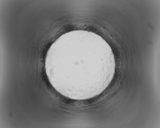 X0000112750707200910011154