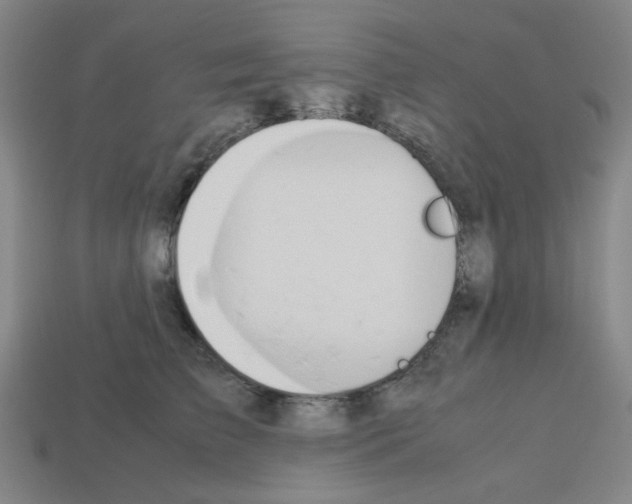 X0000112750709200910011154