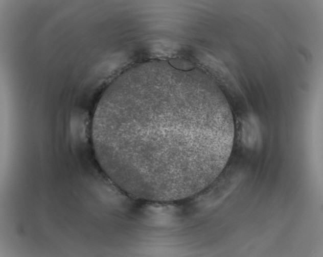 X0000112750712200910011154