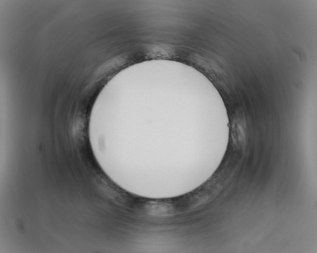 X0000112750714200910011154