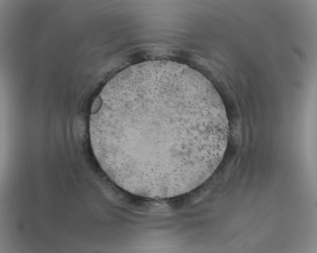 X0000112750715200910011154