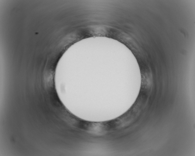 X0000112750717200910011154