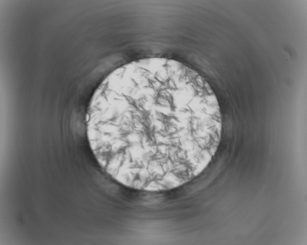 X0000112750719200910011154