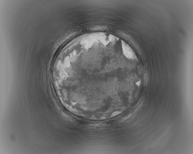 X0000112750721200910011153