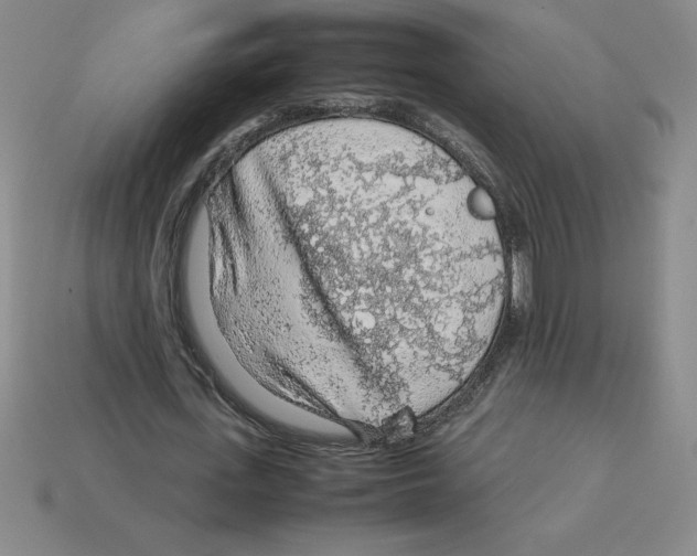 X0000112750723200910011153