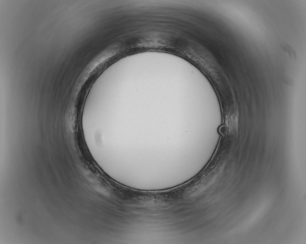 X0000112750724200910011153