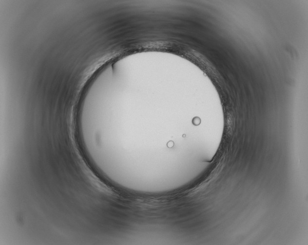 X0000112750725200910011153