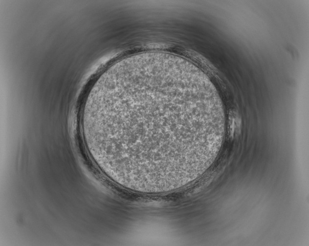 X0000112750726200910011153