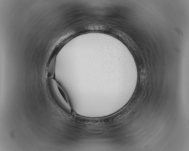 X0000112750727200910011153