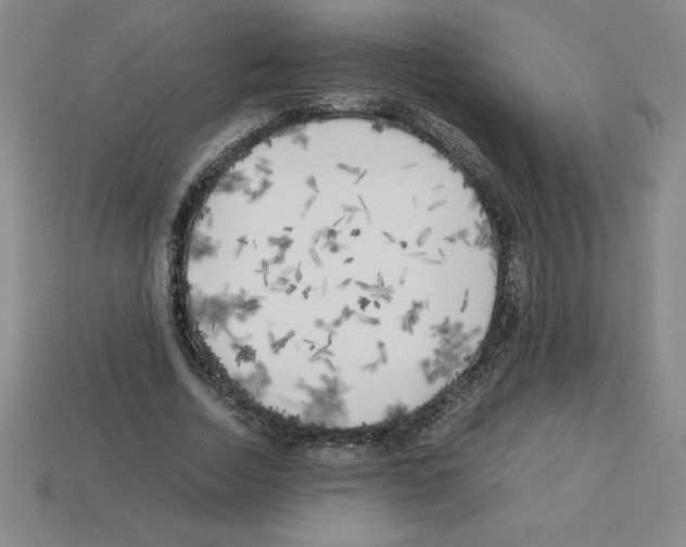 X0000112750730200910011153