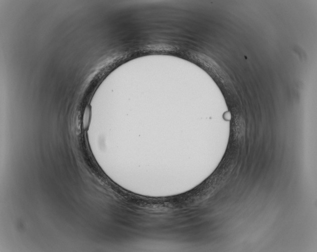 X0000112750731200910011153