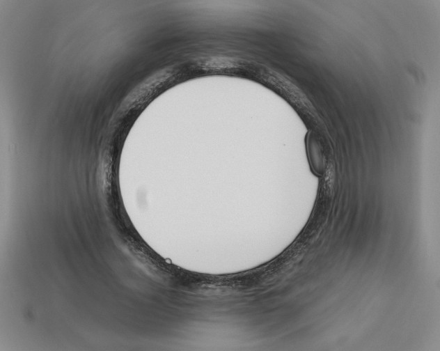 X0000112750732200910011153