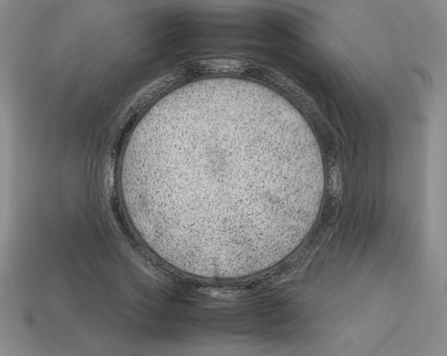 X0000112750733200910011153