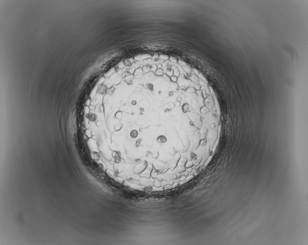 X0000112750734200910011153