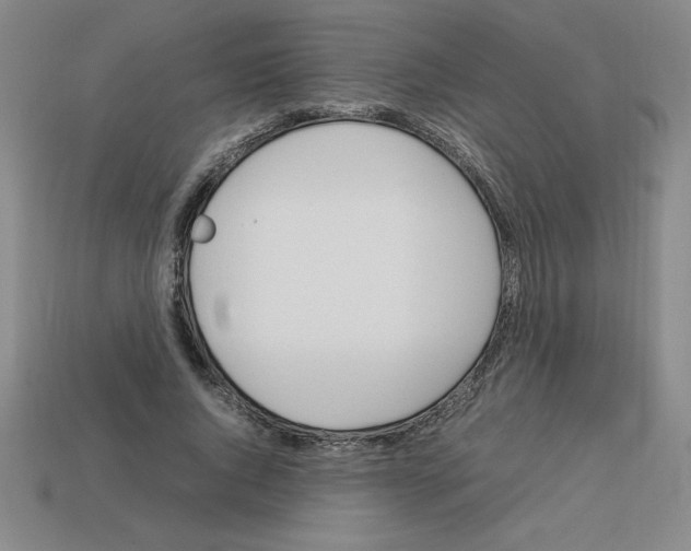 X0000112750736200910011153