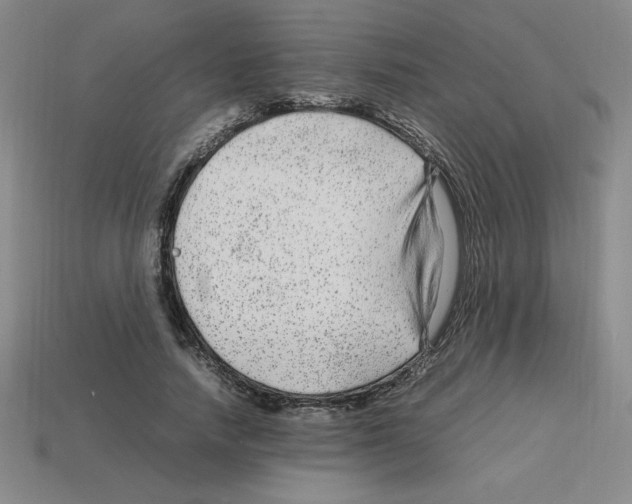 X0000112750738200910011153