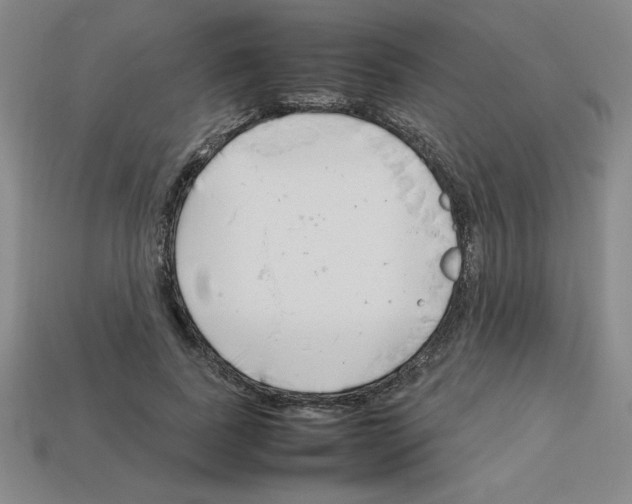 X0000112750739200910011153