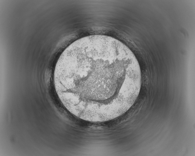 X0000112750742200910011153