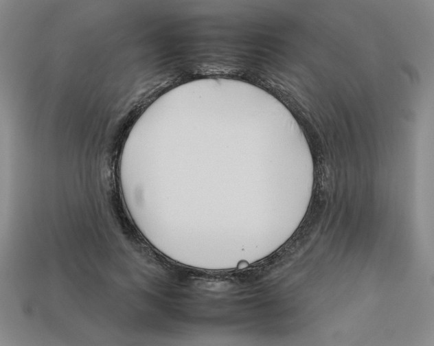 X0000112750743200910011153