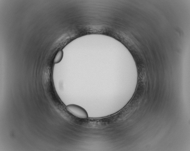 X0000112750744200910011153