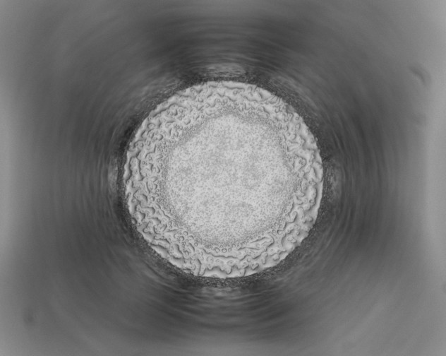 X0000112750745200910011153