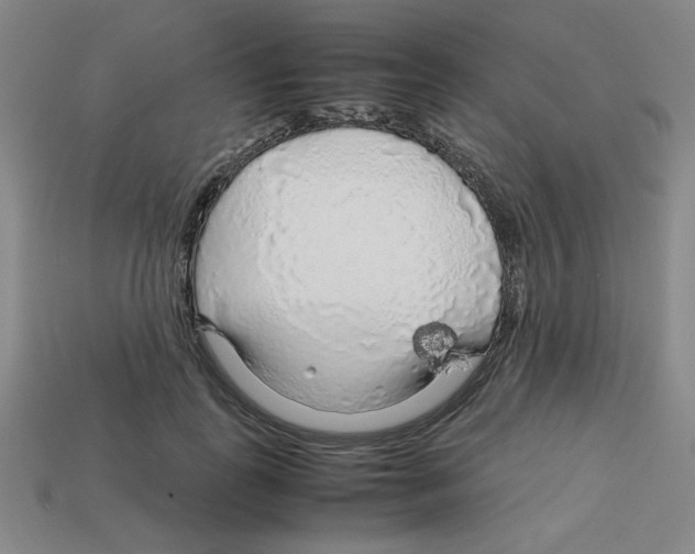 X0000112750747200910011154