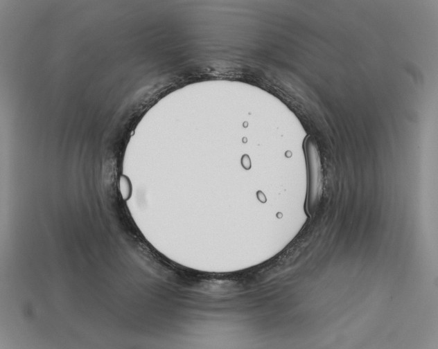 X0000112750748200910011154