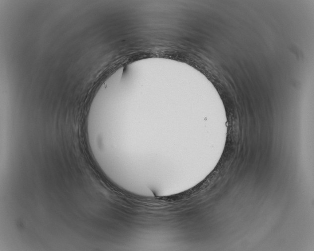 X0000112750750200910011154