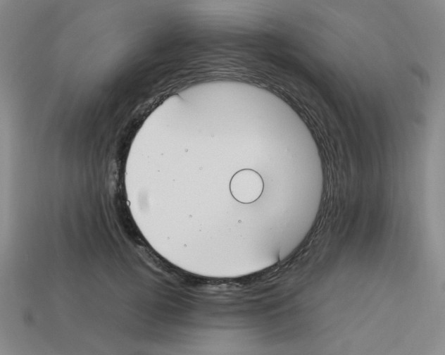 X0000112750752200910011154