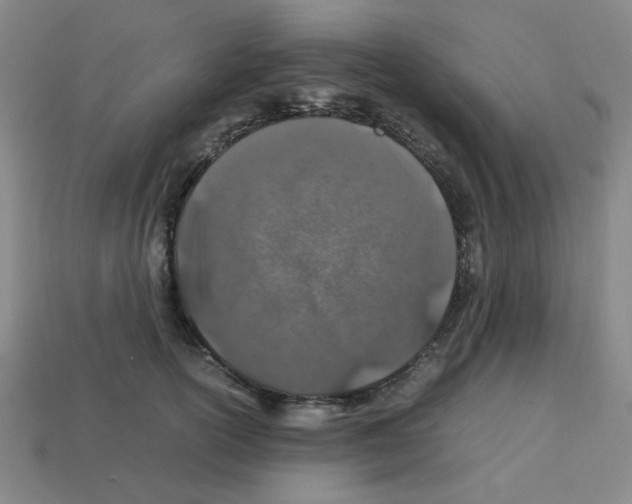 X0000112750754200910011154