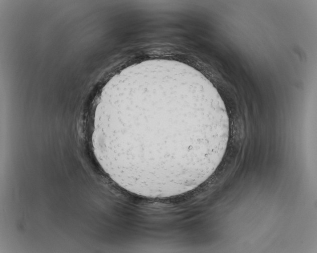 X0000112750755200910011154