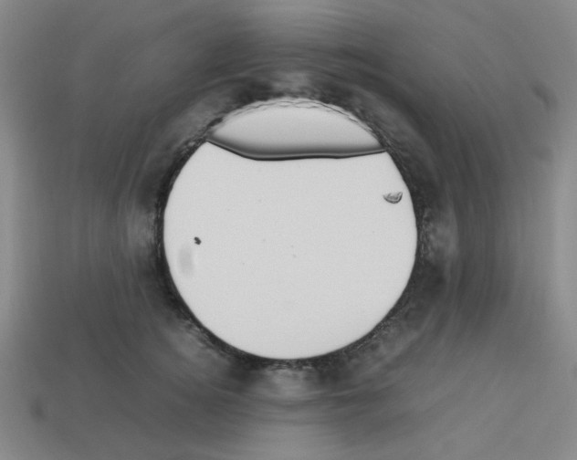 X0000112750756200910011154