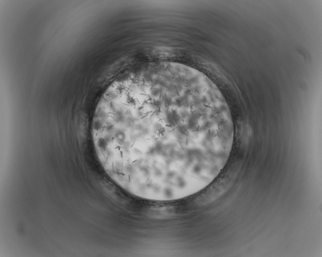 X0000112750760200910011154