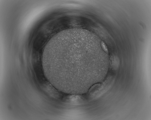 X0000112750762200910011154