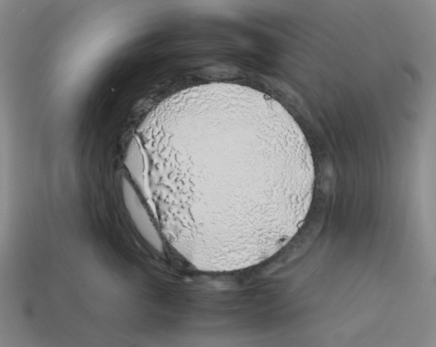 X0000112750763200910011154