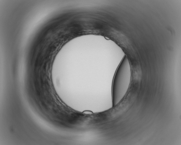 X0000112750764200910011154