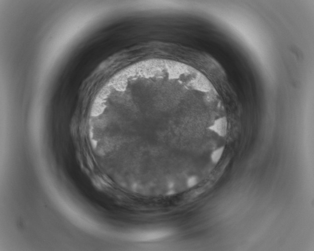 X0000112750765200910011154