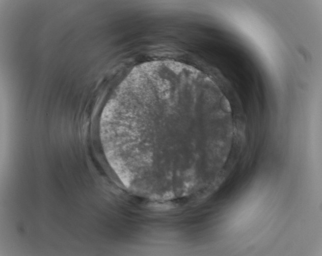 X0000112750767200910011154