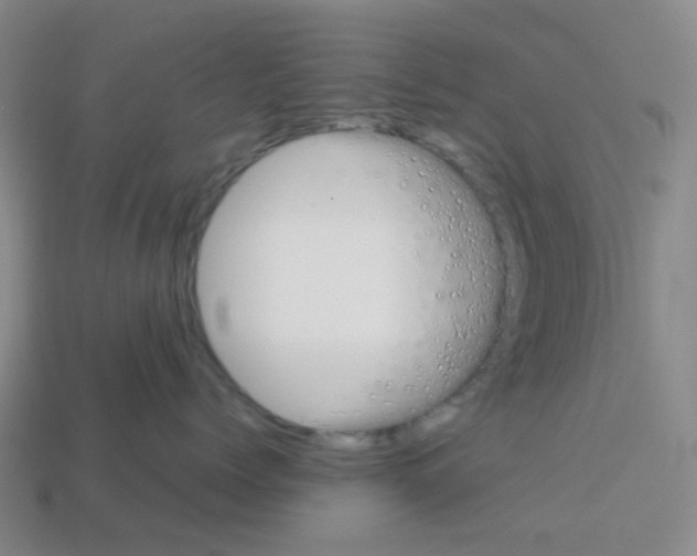 X0000112750768200910011154