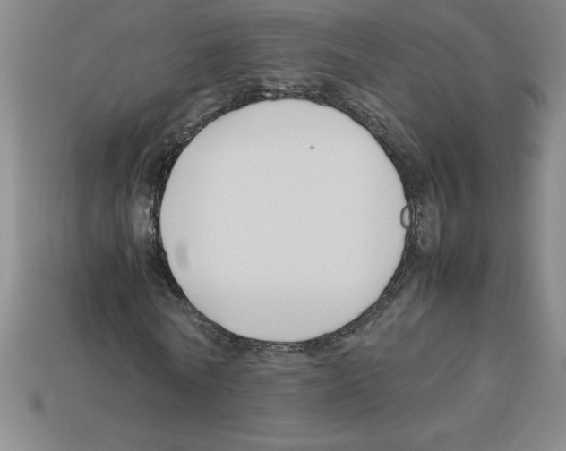 X0000112750770200910011153