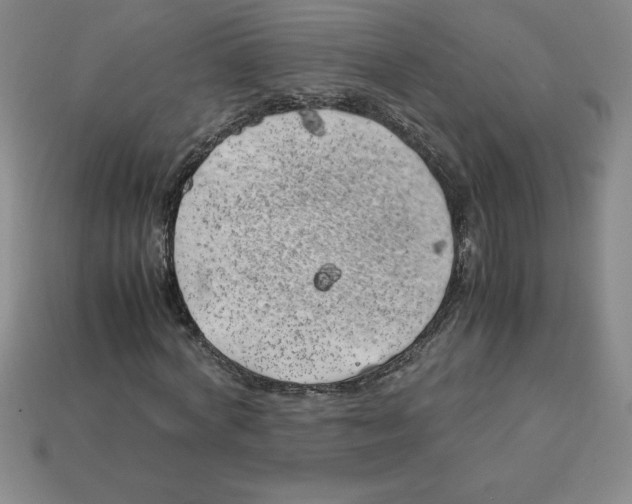 X0000112750772200910011153