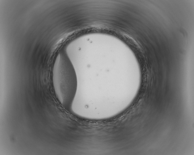 X0000112750776200910011153