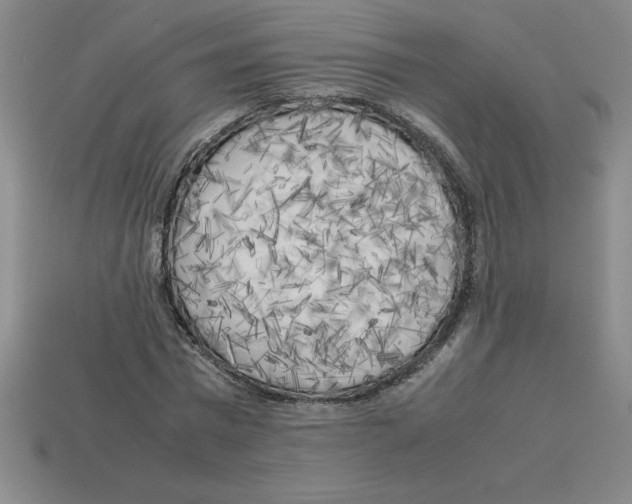 X0000112750777200910011153